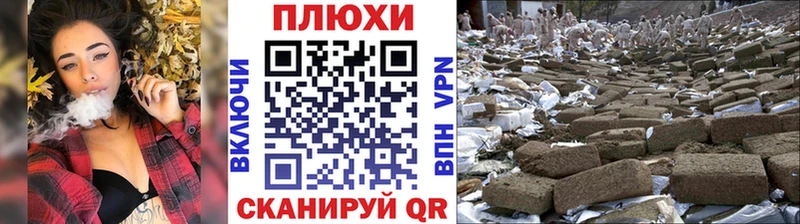 МЕФ Новозыбков