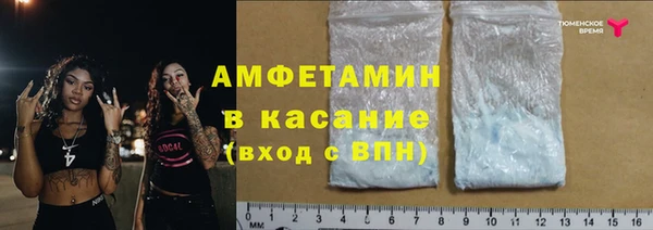 крисы Верхний Тагил