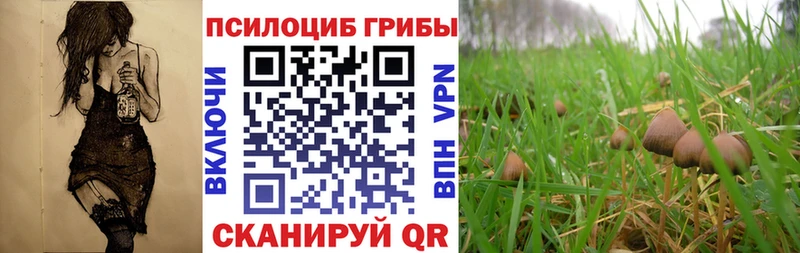 Псилоцибиновые грибы мухоморы  Новозыбков 