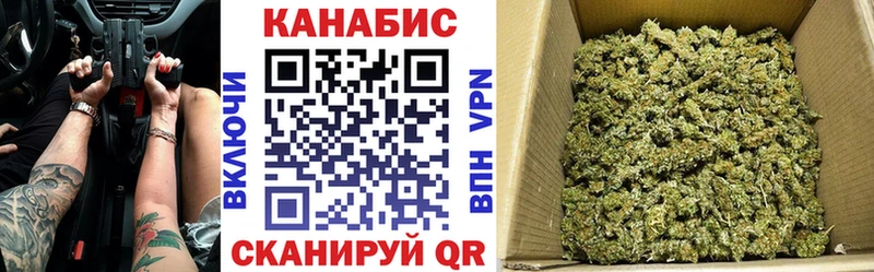 KRAKEN сайт  Новозыбков  Каннабис конопля 